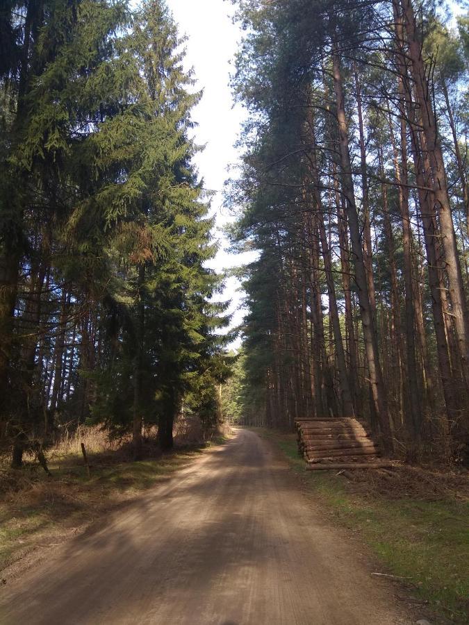 W Starej Szkole - Agroturystyka Pieczarki Esterno foto