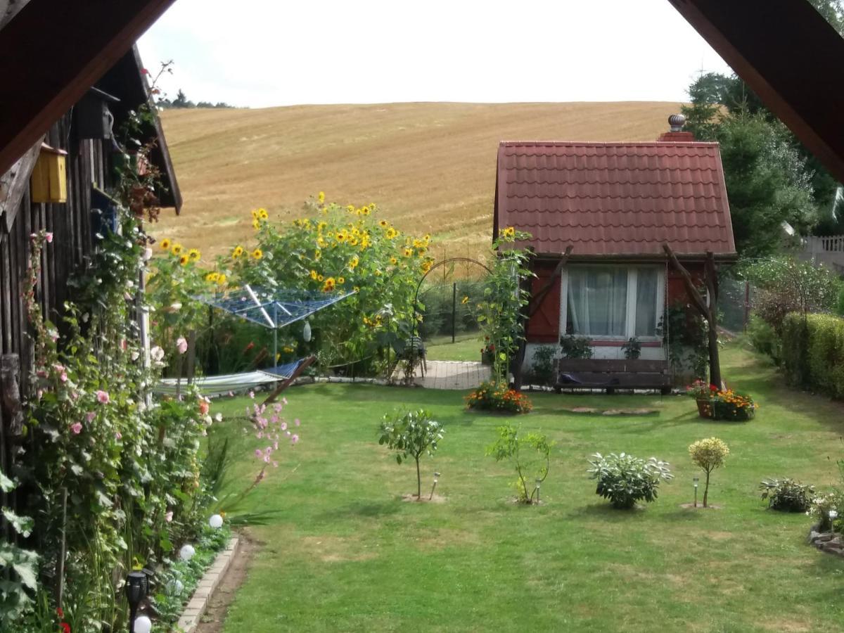 W Starej Szkole - Agroturystyka Pieczarki Esterno foto