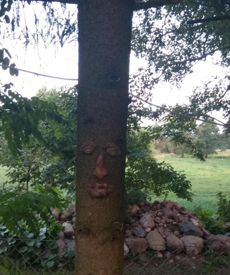W Starej Szkole - Agroturystyka Pieczarki Esterno foto