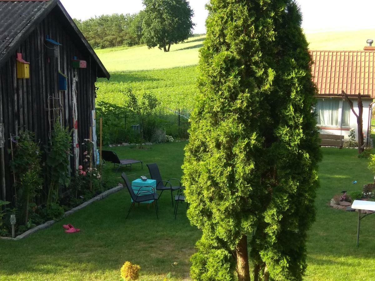 W Starej Szkole - Agroturystyka Pieczarki Esterno foto